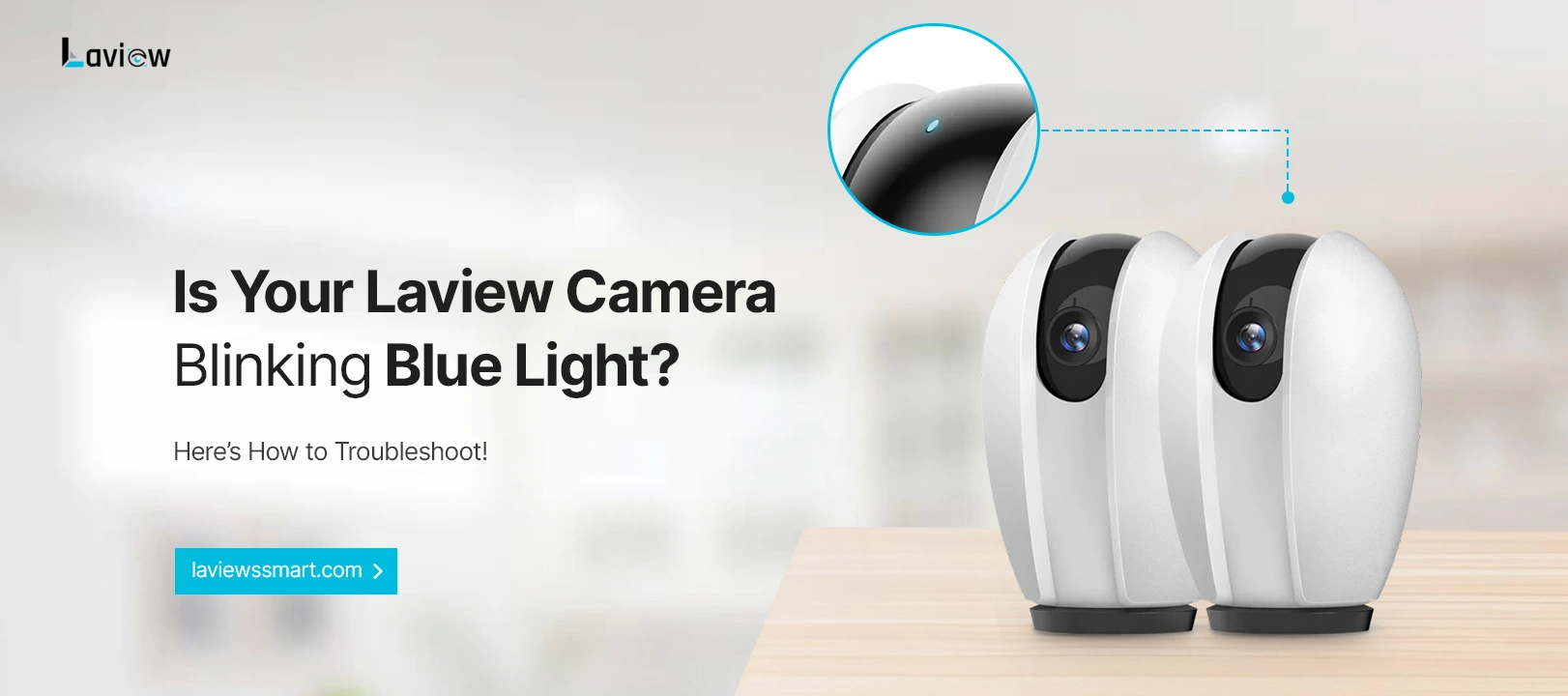 Fix the Laview Camera Blinking Blue Light